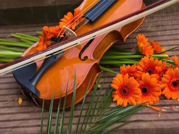 Концерт Беляевой Ольги Дмитриевны