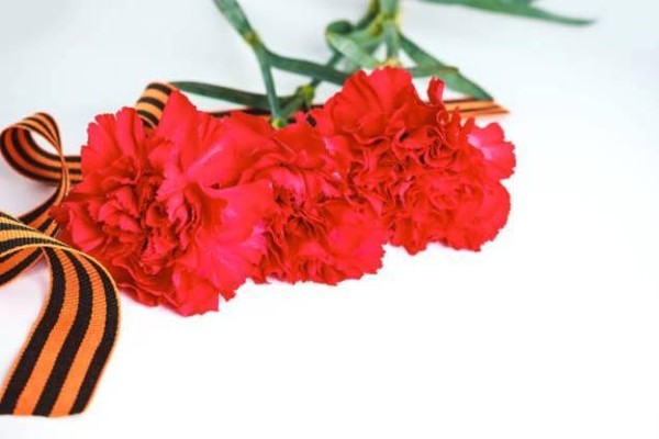 Всероссийский кинопоказ ко 81-й годовщине со дня Великой Победы