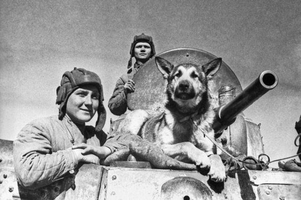 Лекция и мастер-класс «Собаки на линии огня: рисуем четвероногих героев войны»