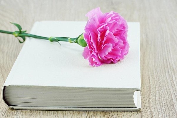 «Бессмертный книжный полк»