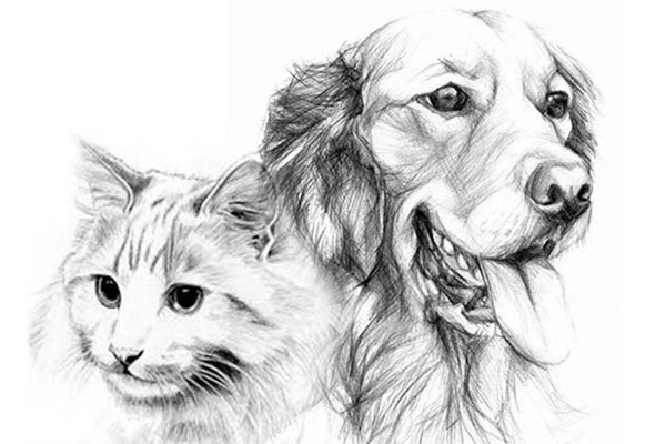 Мастер-класс «Рисунок карандашом»