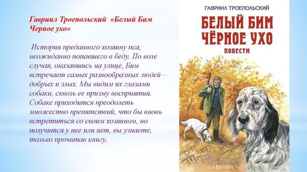 «Белый Бим Черное ухо»