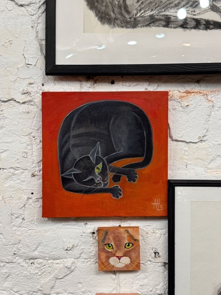 Кошачья Вселенная