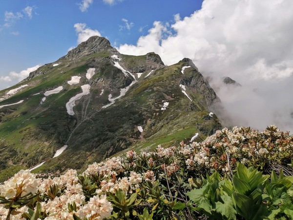 По хребту Аибга: легкий треккинг в окрестностях Красной Поляны