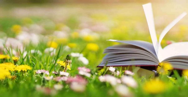 «Лето, книги, приключения»