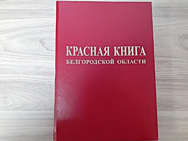 Беседа «Летопись природы»
