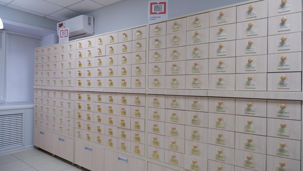 Урок информационной грамотности «Инструменты поиска библиотечной информации»