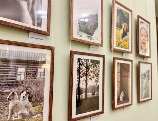 Фотовыставка Виктории Тарасовой «Там, где я»