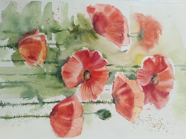 Мастер-класс «Красные маки»