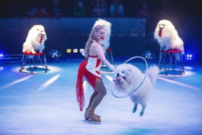 Айсберг