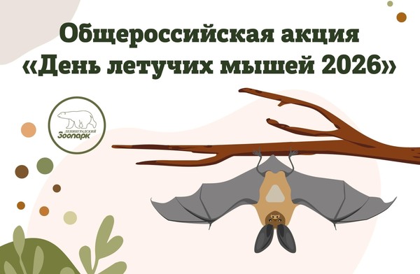 Эко-урок «День летучих мышей»