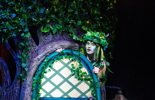 Спектакль «Приключения эльфа»