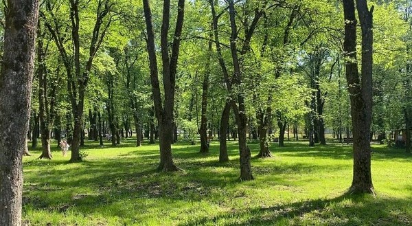 Классика в парках