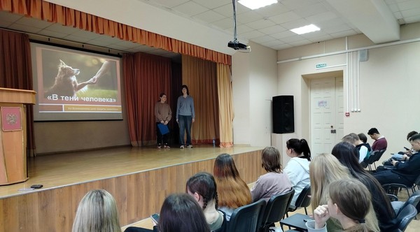 Медиапрограмма «В тени человека»