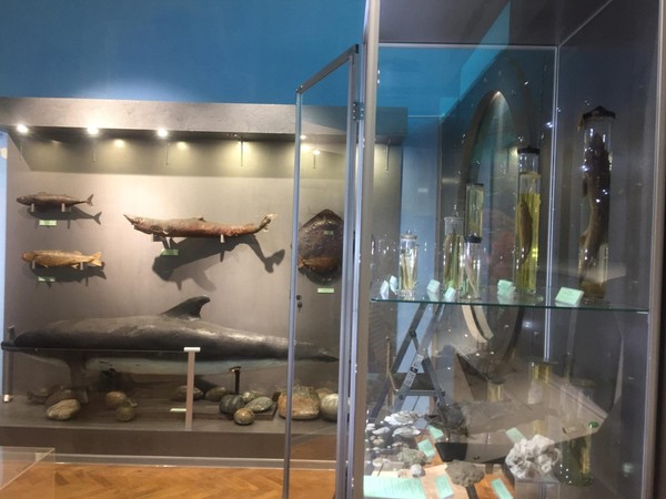 Экскурсия «Черное море. Азовское море»