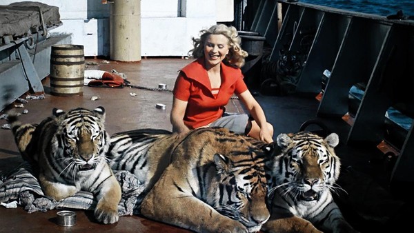 «Полосатый рейс» кино на плёнке