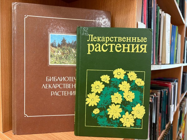 Познавательно – игровая программа «Охапка здоровья в букете цветов»