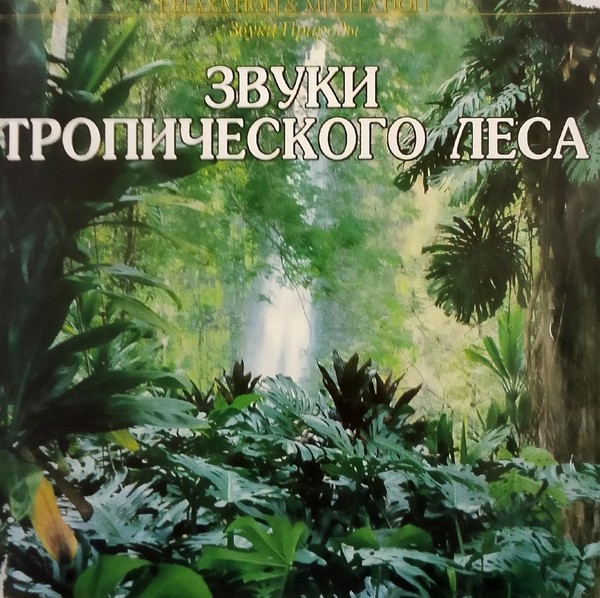 Выставка «Звуки природы»