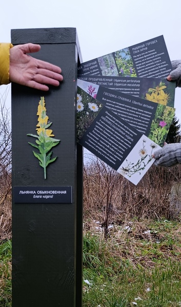 Поедь в Псоедь. Путешествие в деревню, где история оживает