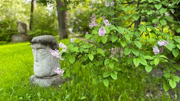 Экскурсия по Саду скульптуры