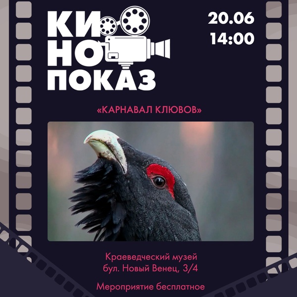 Кинопоказ фильма «Карнавал клювов» в музее