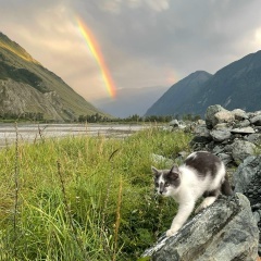 Путешествие по Горному Алтаю