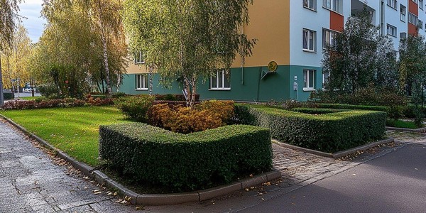 Концерт «Ветеранский дворик»