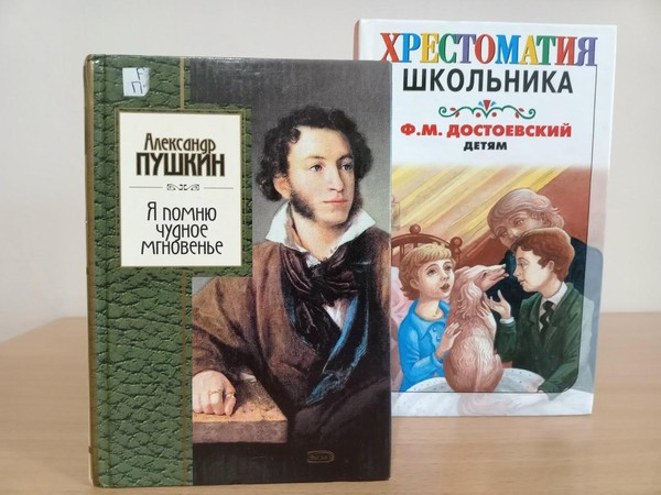 Мастерская медленного чтения «Писатель и читатель – территория счастливого союза»