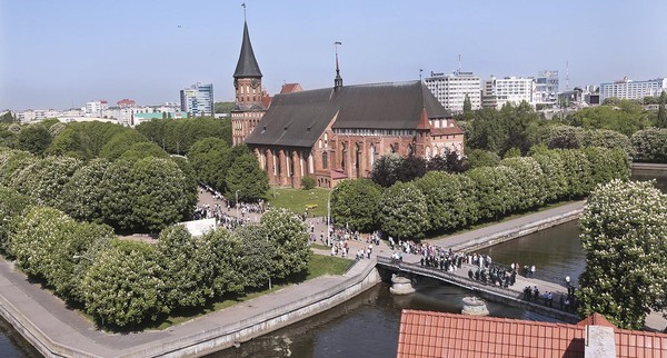 Выставка «Янтарная корона»