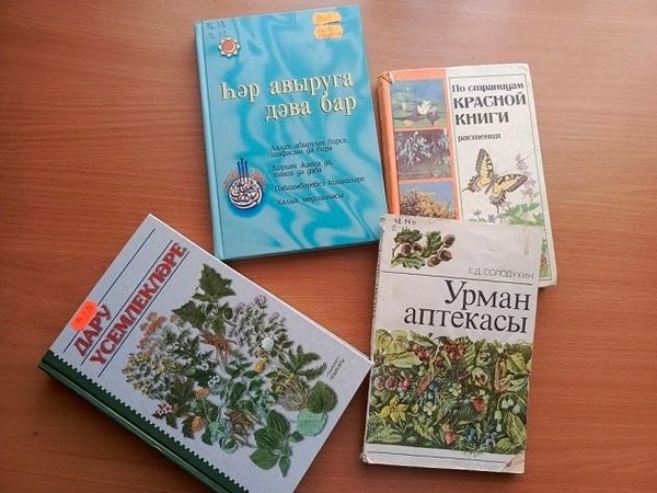 Урок здоровья «Лекарство из лукошка»