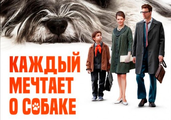 Кинопоказ «Каждый мечтает о собаке»