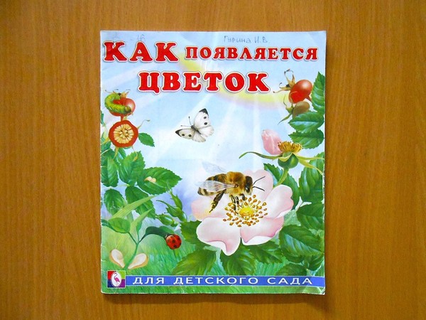Игра-викторина «Во саду ли, в огороде»