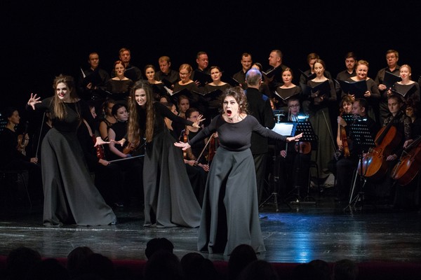 Ведьмы, ангелы и короли