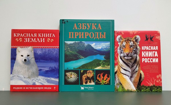 Экологический час «Мы все в ответе за нашу планету»