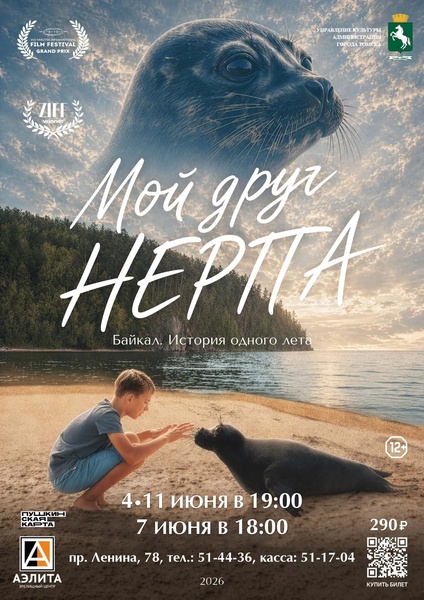 Кинокартина для детей «Мой друг нерпа»