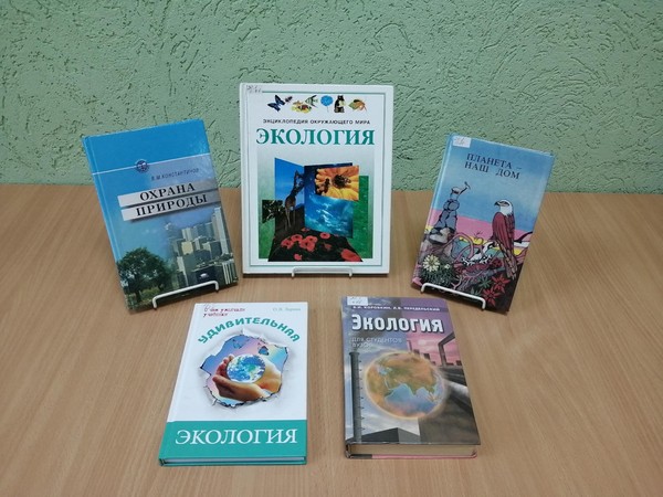Экологический час«Чистая планета, чистый город, чистая совесть»