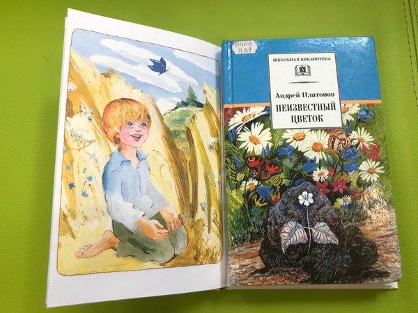 Экопикник «С книгой на природу»