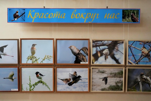 Персональная выставка фотохудожника Александра Маркова открылась в библиотеке