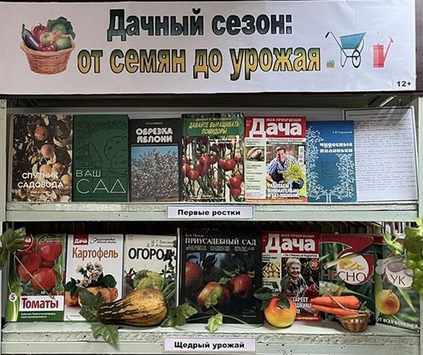 Выставка-инсталляция «Дачный сезон: от семян до урожая»
