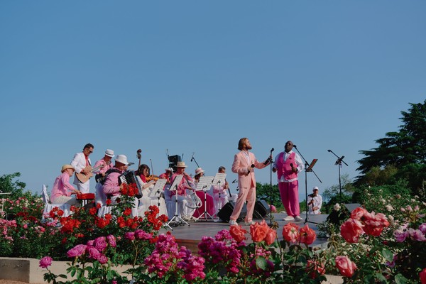 Современная классика в цветущих розах
