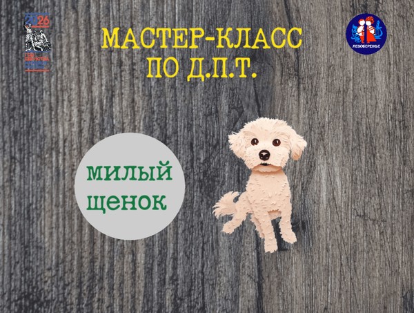 Мастер-класс по Д.П.Т.от Людмилы Величко для учащихся гимназии №7 им В.М. Воронцова