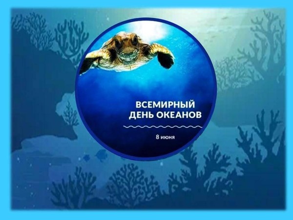Викторина из ракушек «Океан знакомый и незнакомый»