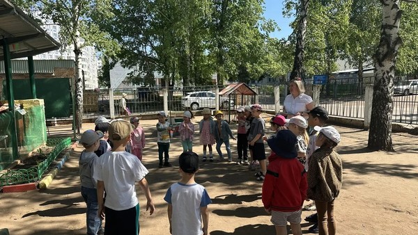 «Сачок для ловли бабочек»
