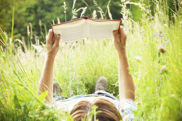 «Книжная улыбка лета»
