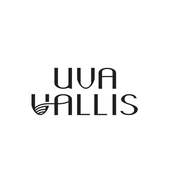 Знакомство с авторской крымской винодельней UVA VALLIS