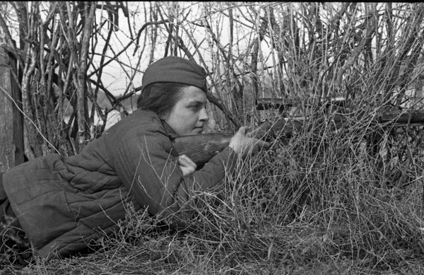 Леди Смерть