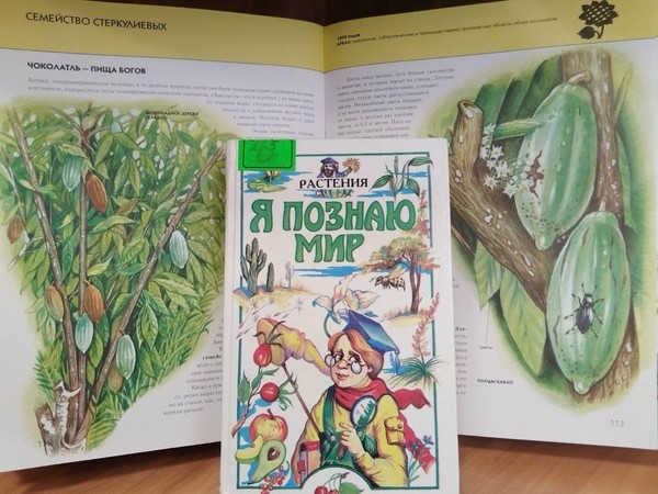 Час интересной информации «О шоколаде, книгах и не только»