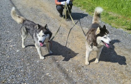 Природа Карелии: четыре водопада и круиз на ладье по Ладожским шхерам