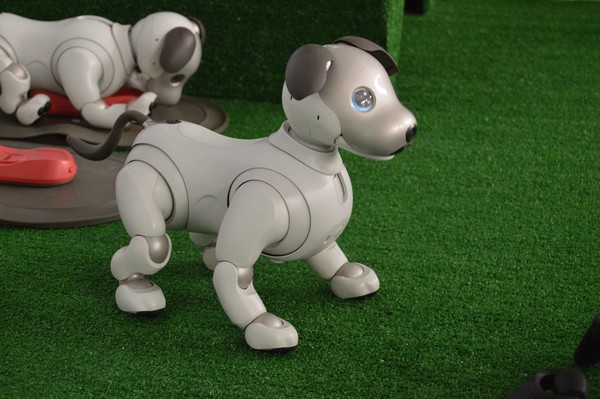 Город будущего