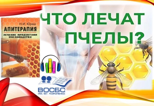 Аудио-чтения «Апитерапия: коктейль жизни»